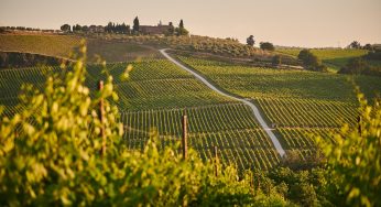 Napa Legionnaires Outbreak