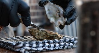 2 Deaths Linked to Raw Oysters From Louisiana