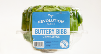 Lettuce Listeria Outbreak