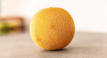 2022 Salmonella Outbreak Linked to Cantaloupe