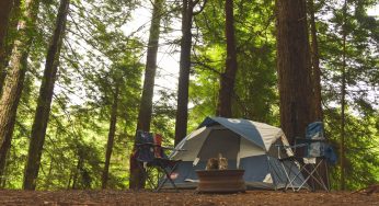 Legionnaires’ Disease Linked to Meredith, NH Campground