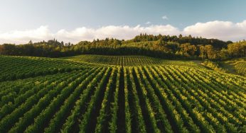2022 Napa Legionnaires’ Disease Outbreak
