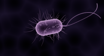 New Salmonella Detection Tool Could Change Food Manufacturer’s Safety Protocol. For the Better!