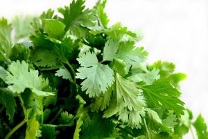 Cilantro Linked to Cyclospora Outbreak at Alabama Restaurant and Beyond www.MakeFoodSafe.com