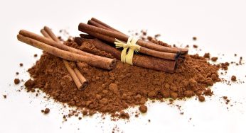 Want Your Cinnamon Unleaded? Avoid These Brands! FDA Issues Alert on Lead in Cinnamon Following Investigation.