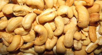 Another Trader Joe’s Recall Announcement. Trader Joe’s Recalls Low Sodium Cashews.