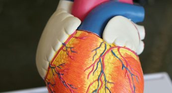 What Organ System Does Legionella Affect?