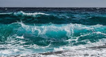 CDC Warns Three Eastern U.S. States About Recent Uptick of Flesh Eating Bacteria called Vibrio vulnificus