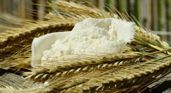 Shawnee Milling Company Issues Recall on Flour Due to Potential Cross-Contamination with Egg, Milk.