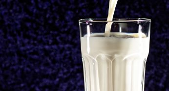 Could There Be Bird Flu in Milk You Have in Your Fridge? Experts Say It’s Likely!