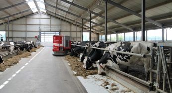 Bird Flu in People from Cows? CDC Reports Second Case of Bird Flu Tied to the Dairy Cow Outbreak!