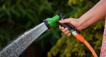 Could Your Garden Hose Be Toxic? Tips to Identify a Non-Toxic Garden Hose to Keep Your Family Safe!