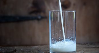 Raise a Glass (of Milk) and Celebrate the Centennial Anniversary of Milk and Dairy Pasteurization This Year!