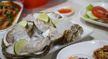 Are Raw Oysters Safe to Eat?