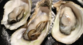 Seafood Norovirus Outbreak in California