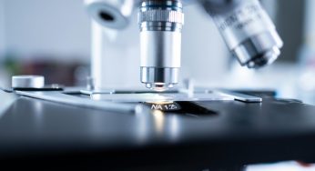 Fighting Shigella with AI and Microscopes