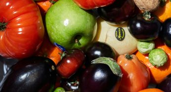 Food Firms Warned About Import Violations