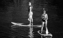 Shiga Producing Toxin in Lake Anna, Virginia