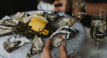 Oysters Campylobacter Outbreak