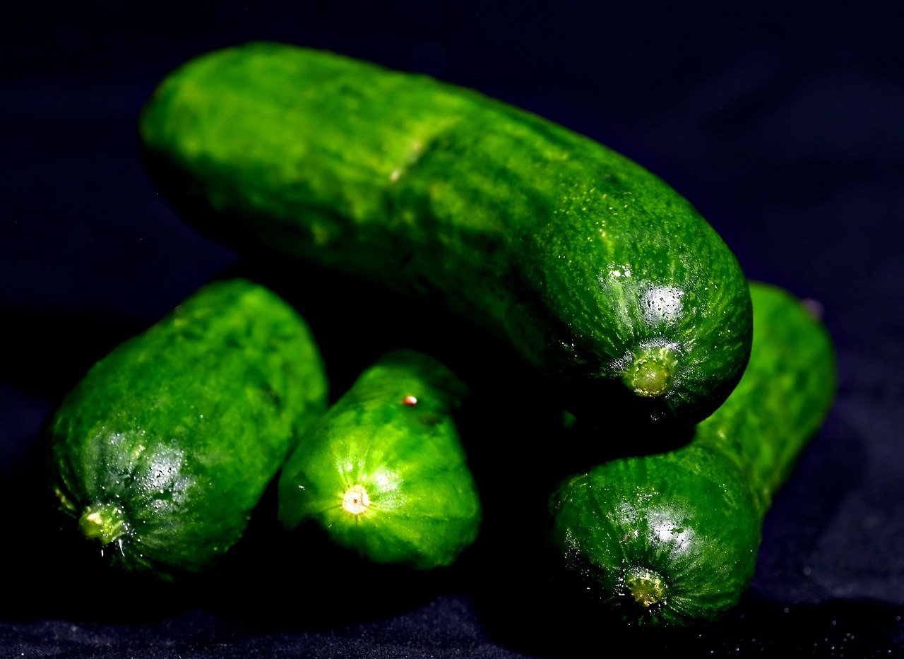 Cucumber Outbreak Source Uncovered. Untreated Canal Water to Blame! www.makefoodsafe.com