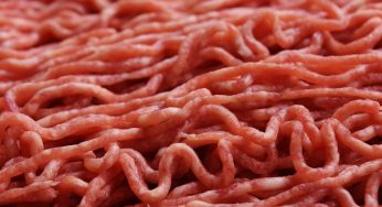 Montana Ground Beef Ecoli Outbreak