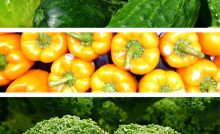 New Cyclospora Outbreaks Update Available www.makefoodsafe.com