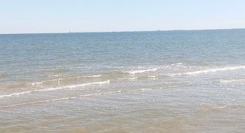 Watch Out for Vibrio in Galveston