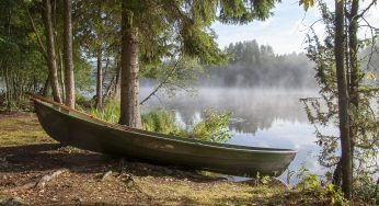Legionnaires’ Disease at Roaring River Lodge and RV Park Prompts Investigation