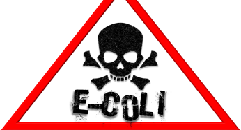 Public Health Officials Announce Uptick of E. coli in Josephine County