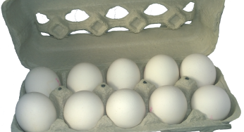 Salmonella Outbreak Linked to Eggs Sickens 65 So Far
