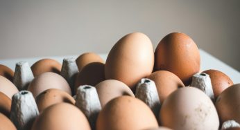 Milo’s Poultry Farms Salmonella Egg Outbreak