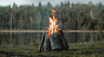 Camp Fire Food Safety