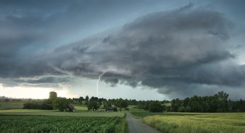 New Study on E. Coli and Climate Change Highlights Impact on Foodborne Outbreaks
