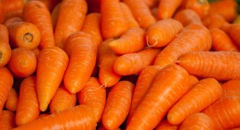 FDA Warns Consumers of E. coli in Organic Carrots
