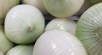 The FDA Has Not Been Able to Definitively Link Taylor Farms Onions to the Recent E. coli Outbreak Associated with McDonald’s. What Does That Mean?