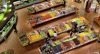 Vegetables Are Riskier Than Beef When It Comes to E. coli