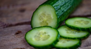 FDA Announces an Outbreak of Salmonella Linked to Imported Cucumbers Over the Weekend