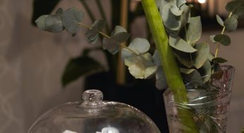 Keep Food Poisoning Away from Your Holiday Table