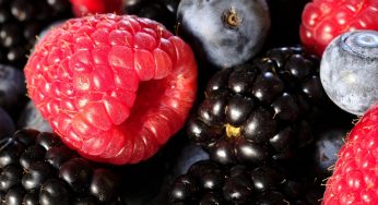 FDA Hopes to Prevent Norovirus and Hepatitis A Virus Contamination in Berries Through Global Prevention Strategy