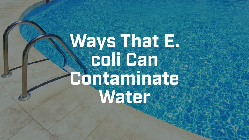 Ways That E. coli Can Contaminate Water