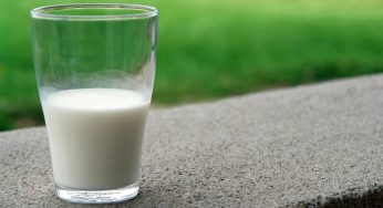 The Myths About Raw Milk