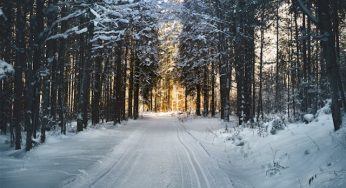 Is it Safe to Eat Snow?