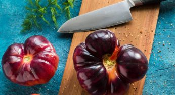 What To Do If You Cut Yourself in the Kitchen