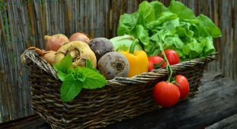 UK Government Analyzes Pesticides in Produce for Imported Food. Results May Pose Trade Changes.