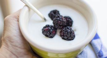 FDA Request for Information Announced from High-Protein Yogurt and Poppy Seed Industries