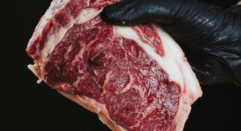 The Carnivore Diet Trend