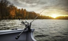 Can I Get E. coli from Fish Caught in Contaminated Water?