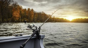 Can I Get E. coli from Fish Caught in Contaminated Water?