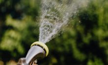Links Between Watering Your Garden & E. coli