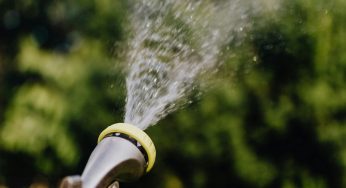 Links Between Watering Your Garden & E. coli